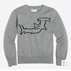 Jcrew boys hammerhead sweater
